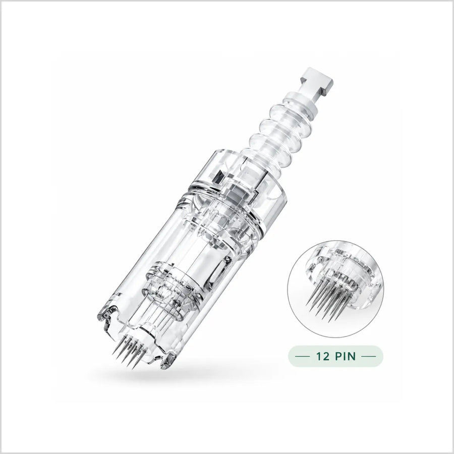 Dr pen Ultima A10 Needles Cartidges 12 pin Size at skinae.pk