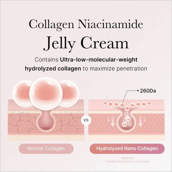 Medicube Collagen Niacinamide Jelly Cream infographics - Skinae
